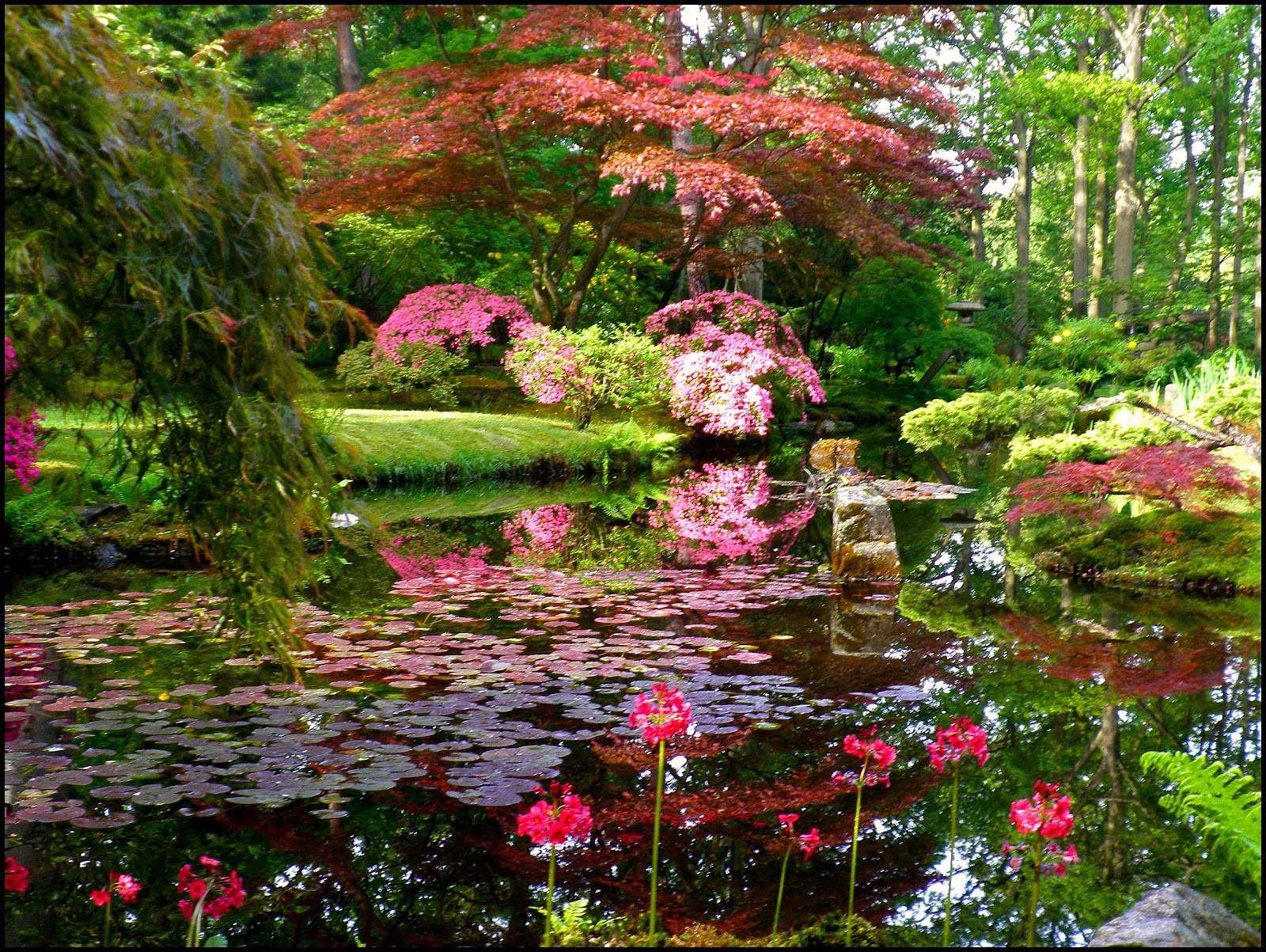 Japanese Zen Garden The Hague