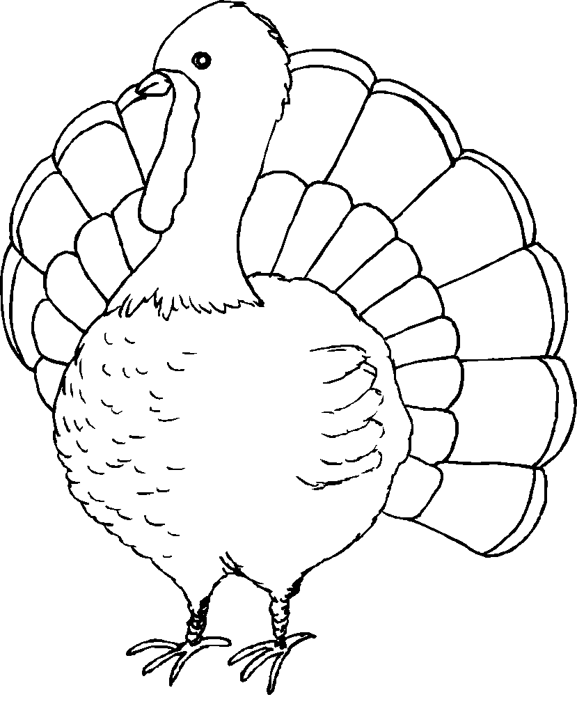 Home Coloring S To Print Thanksgiving