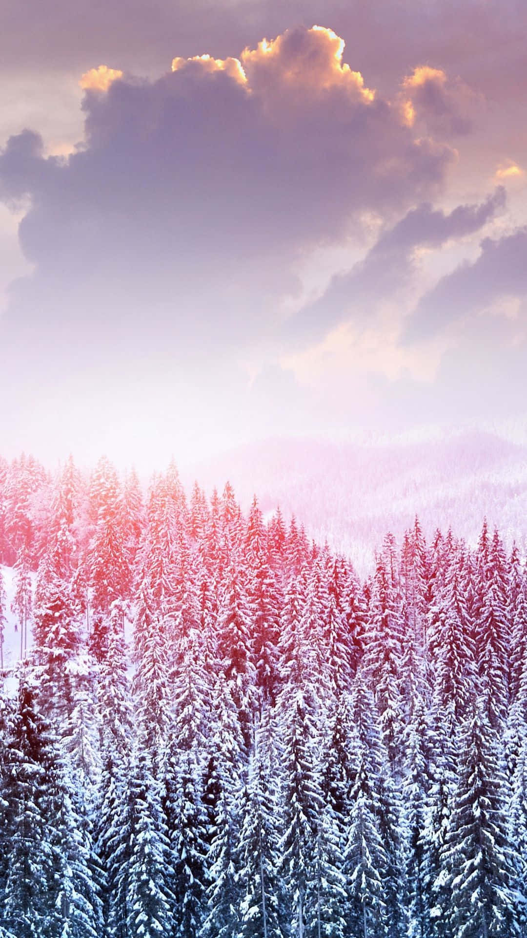 Cute Winter Snow Trees Background Wallpaper