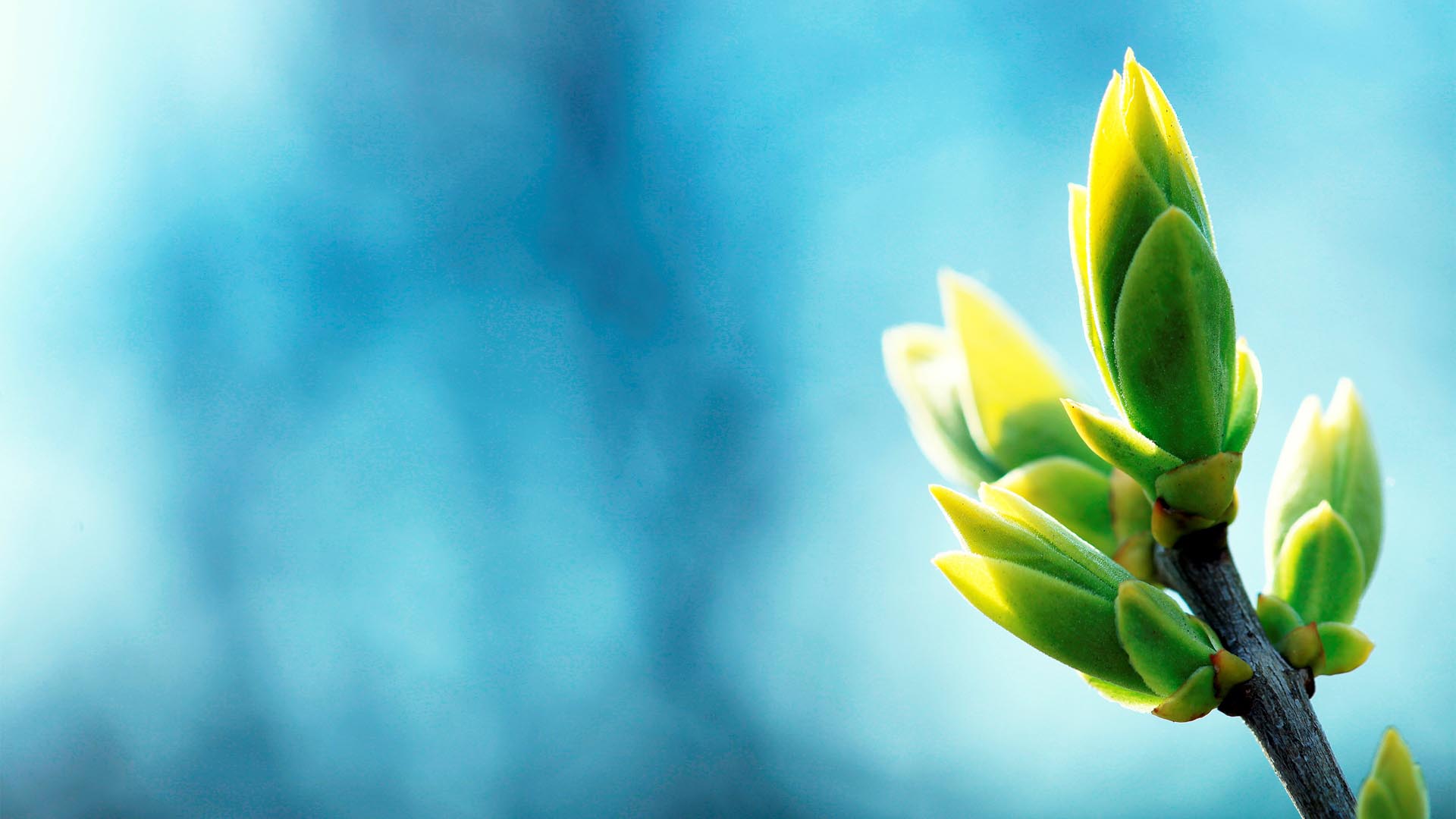Calming Wallpaper HD