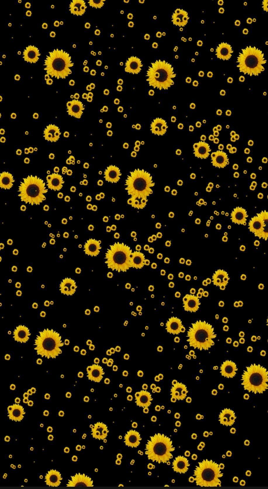 iPhone Wallpaper Sunflower HintergrundbildiPhone Tapete