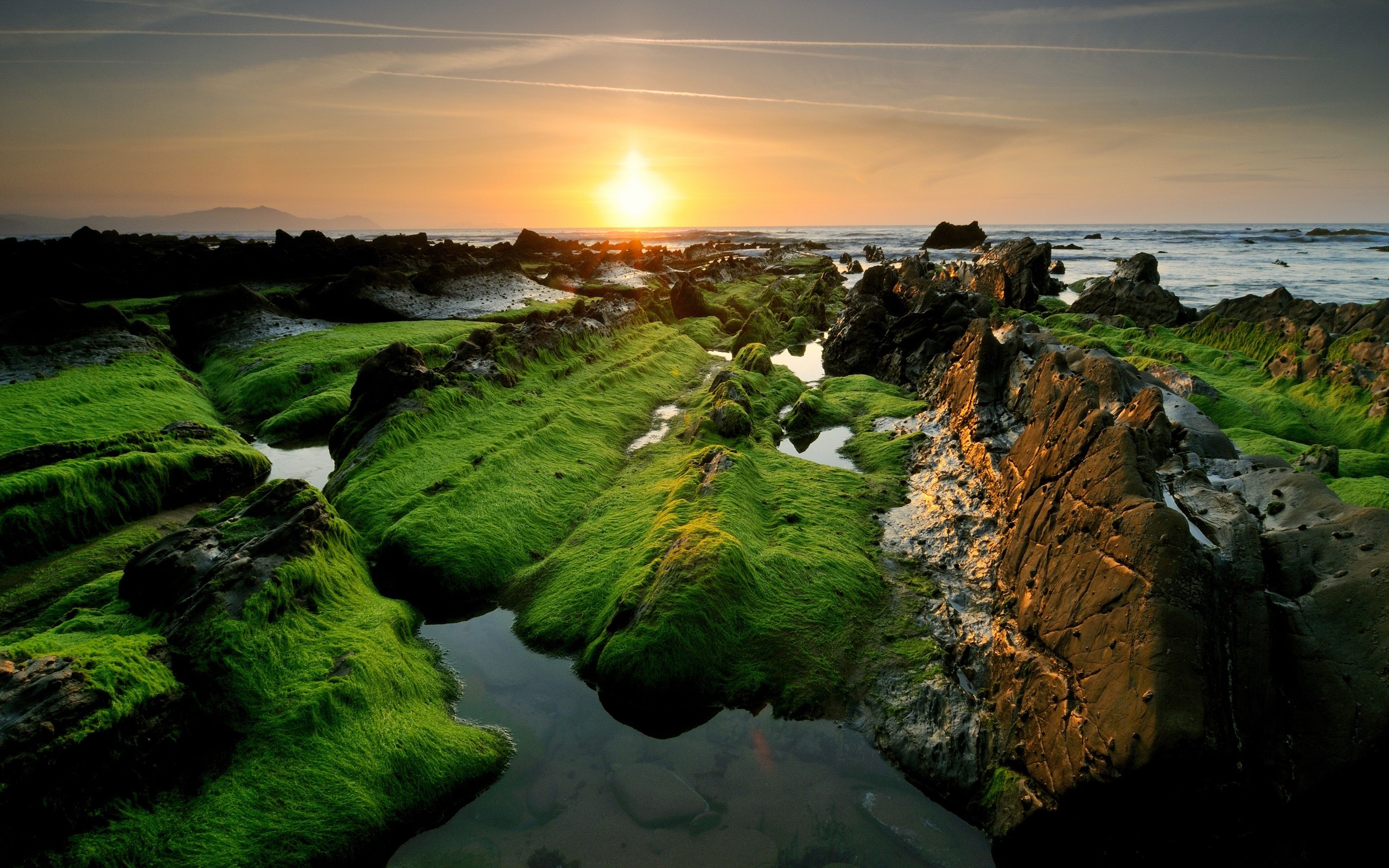 Sunset over a rocky, mossy beach, creating a serene and vibrant landscape