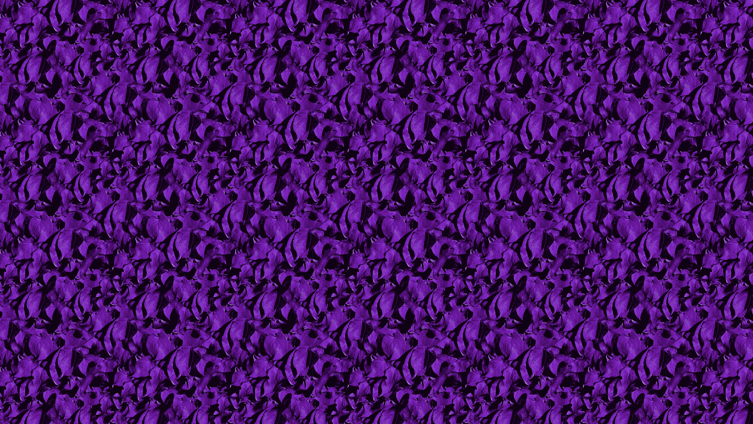 Purple Paisley Wallpaper All New