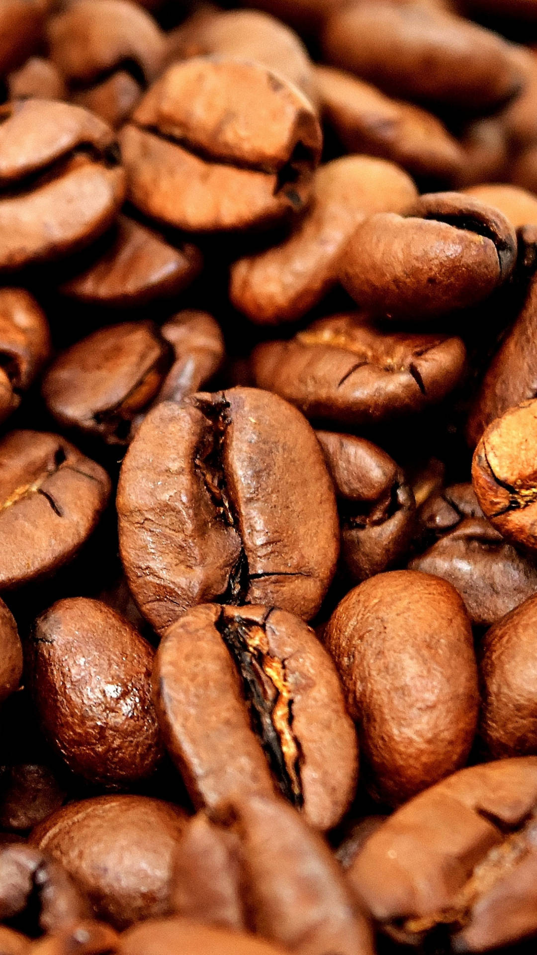 Coffee Aesthetic Wallpaper