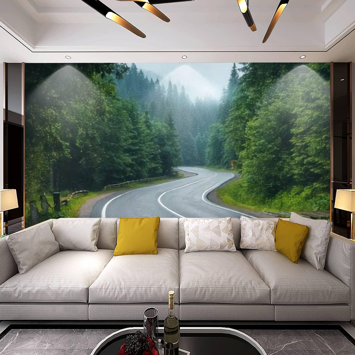 Modern 3d Road In Foggy Forest Rainy Day Spring Beautiful
