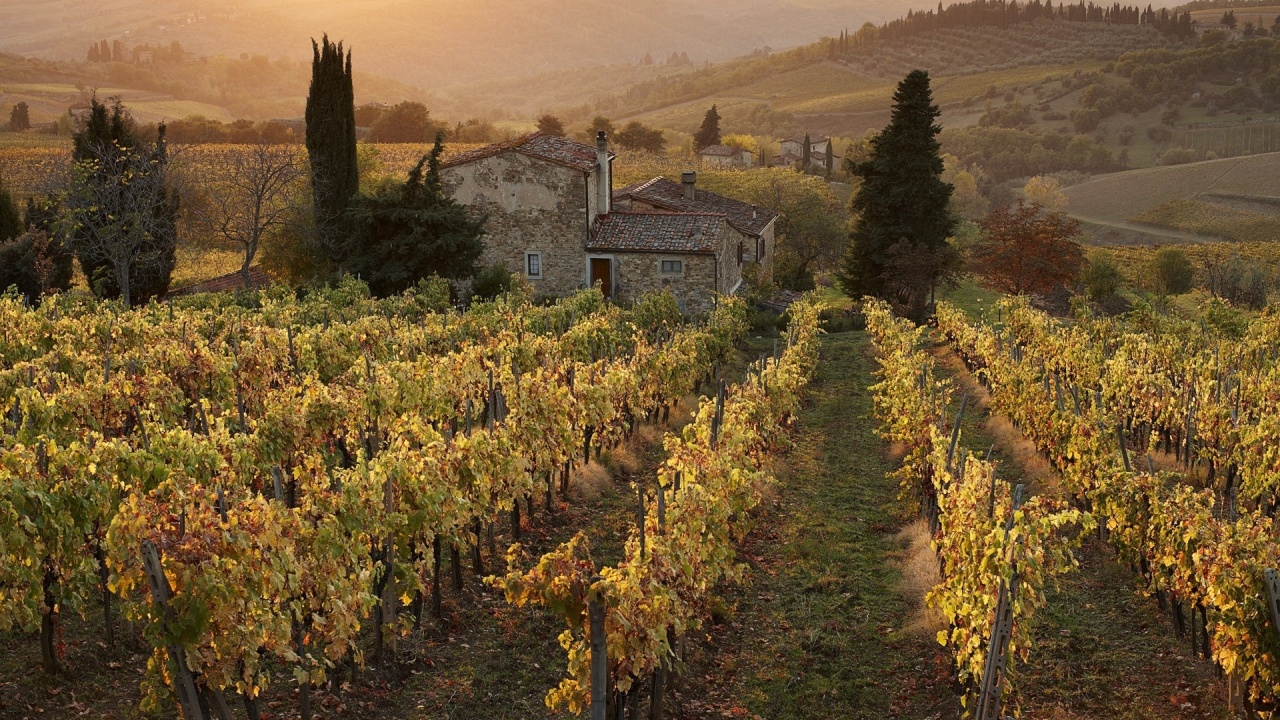 Farm House Vineyard Italy Desktop Pc And Mac Wallpaper