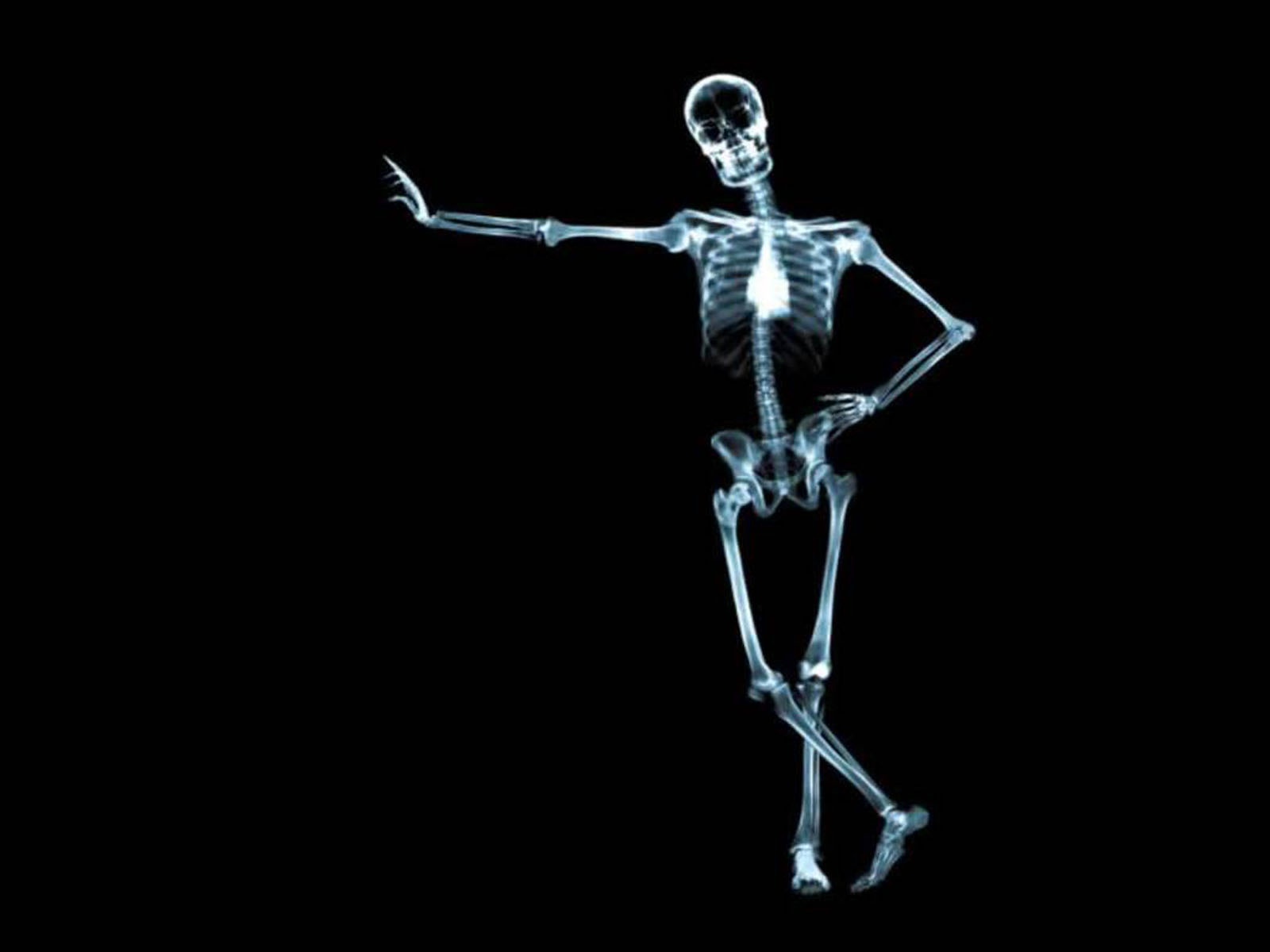 Wallpaper Skeleton