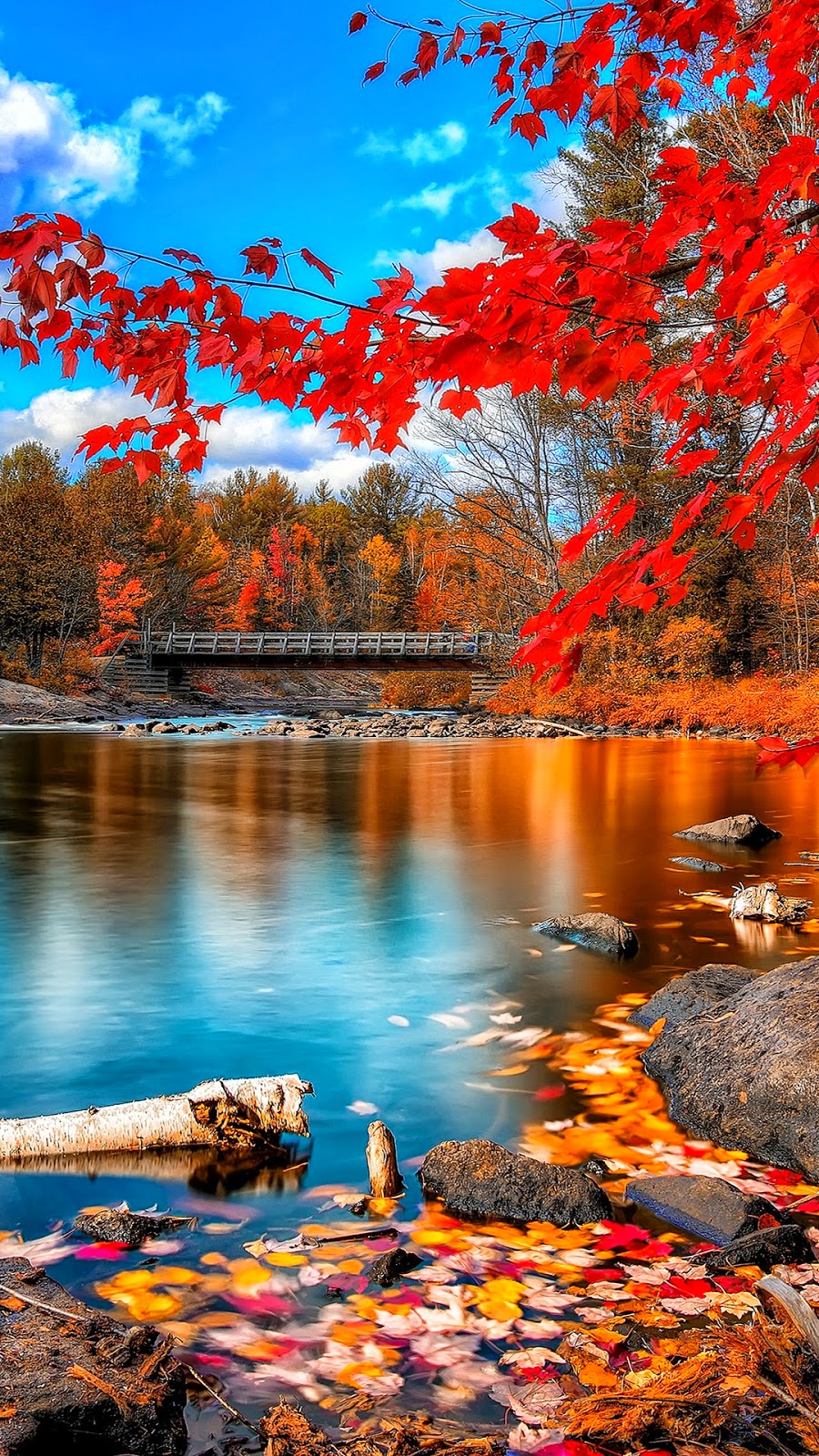 Beautiful Wallpaper For Phone
