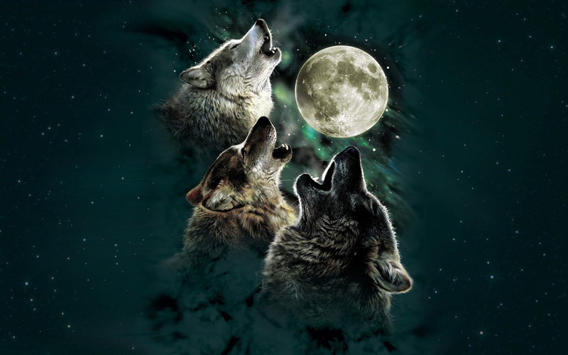 moon wolf 1680x1050 wallpaper Space Moons HD Desktop Wallpaper