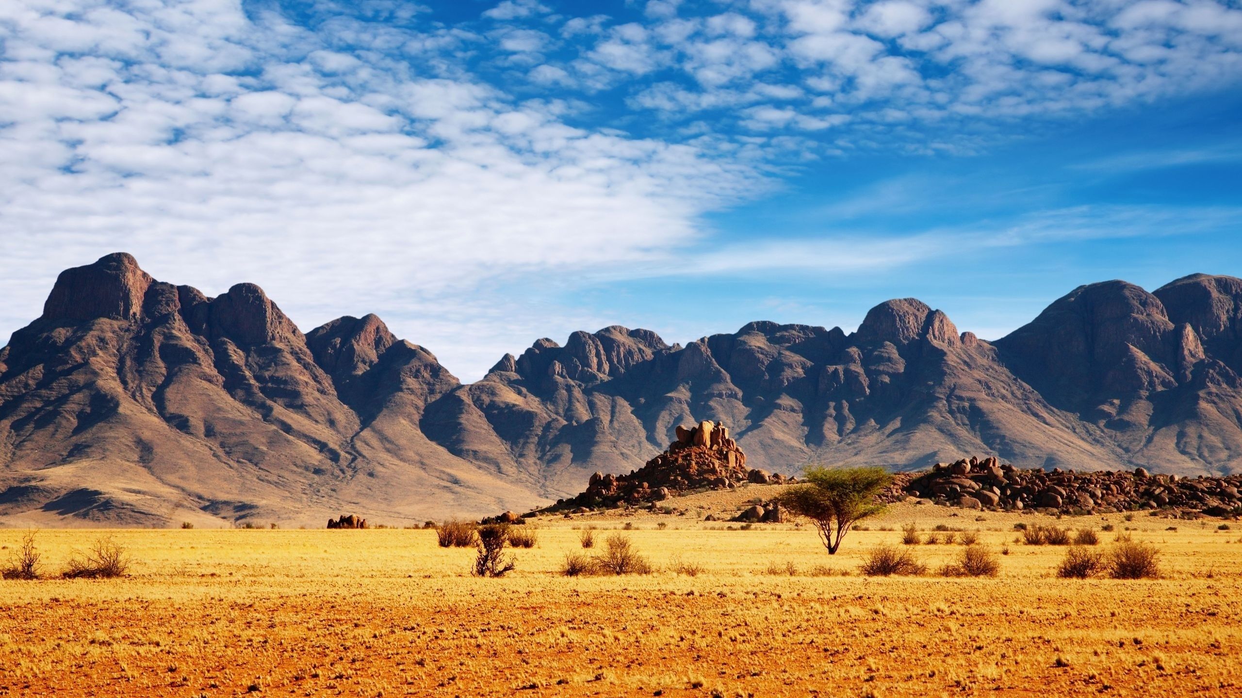 Why The Desert Is Beautiful Wallpaper