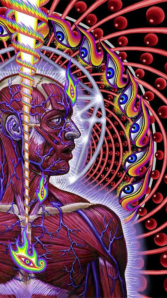 Tool Lateralus Wallpaper Posted By Samantha Cunningham