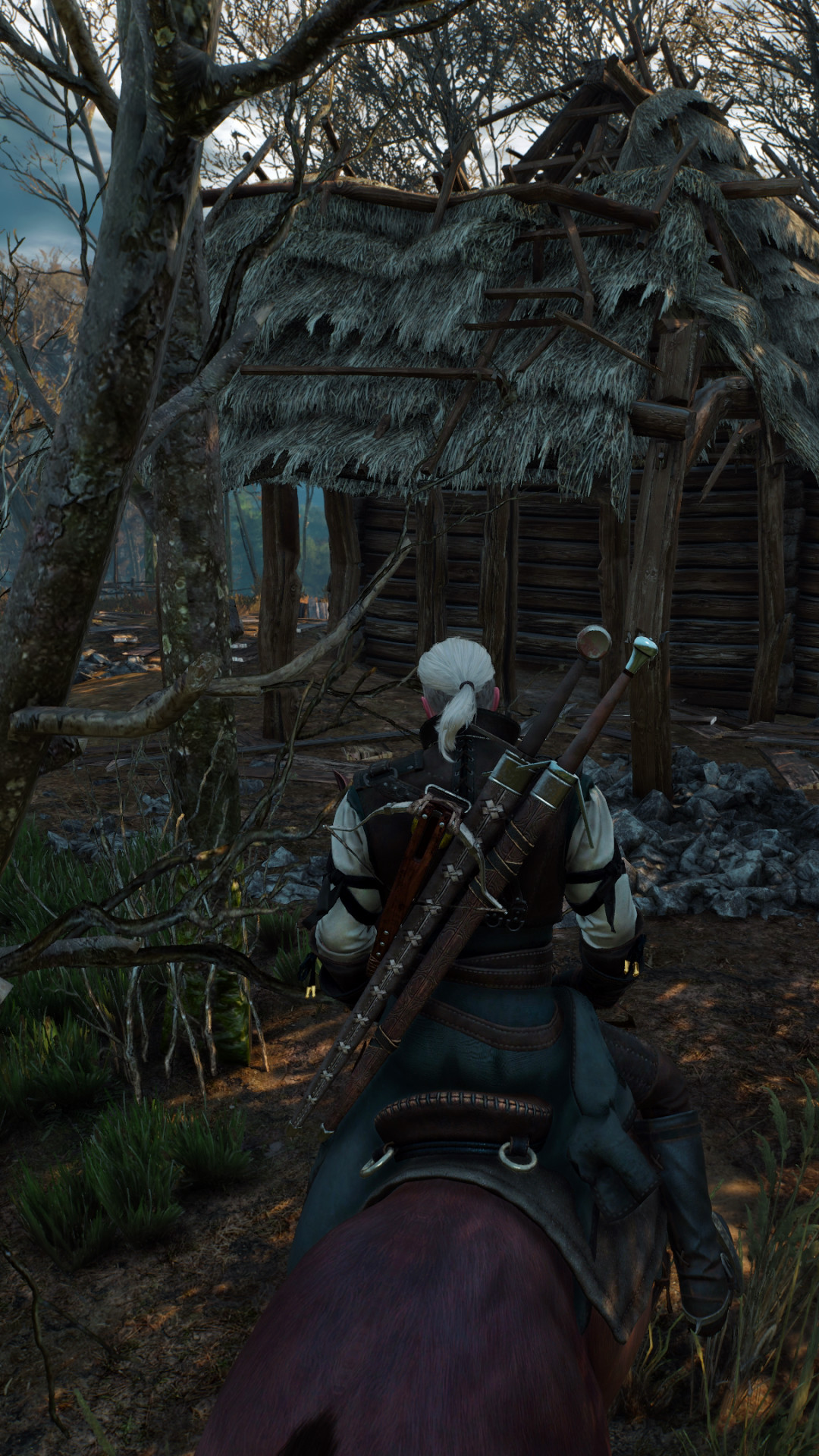 Witcher iPhone Wallpaper