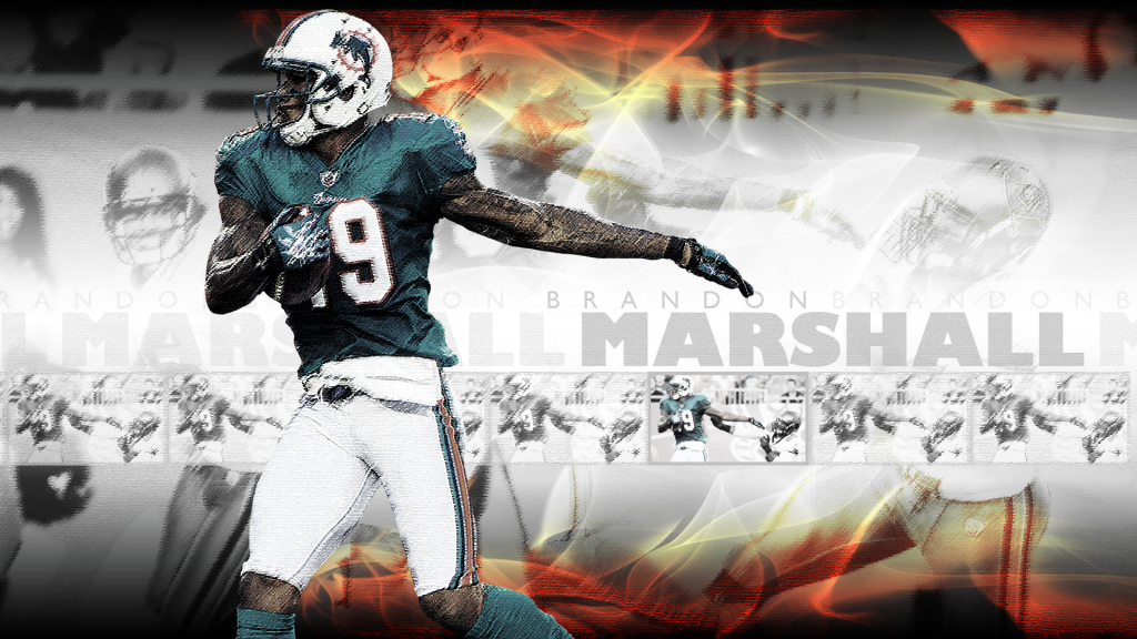Miami Dolphins Brandon Marshall Wallpaper HD Pictures In High