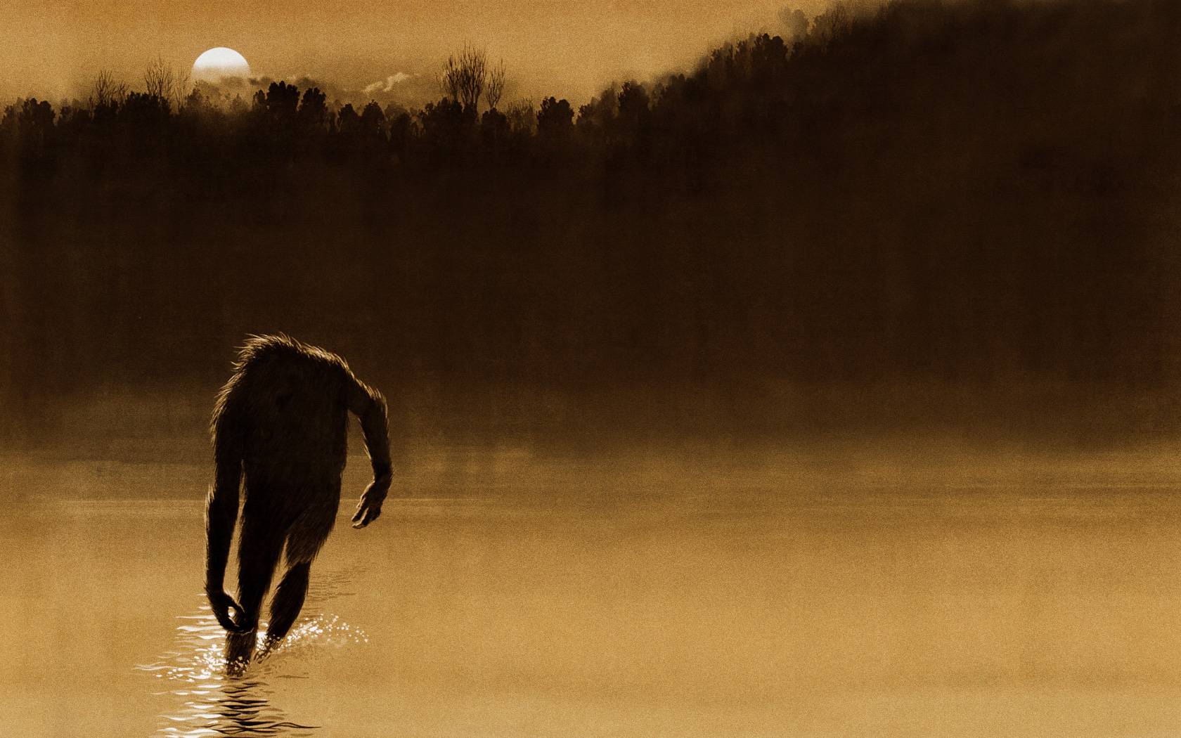 The Legend Of Boggy Creek Wallpaper For