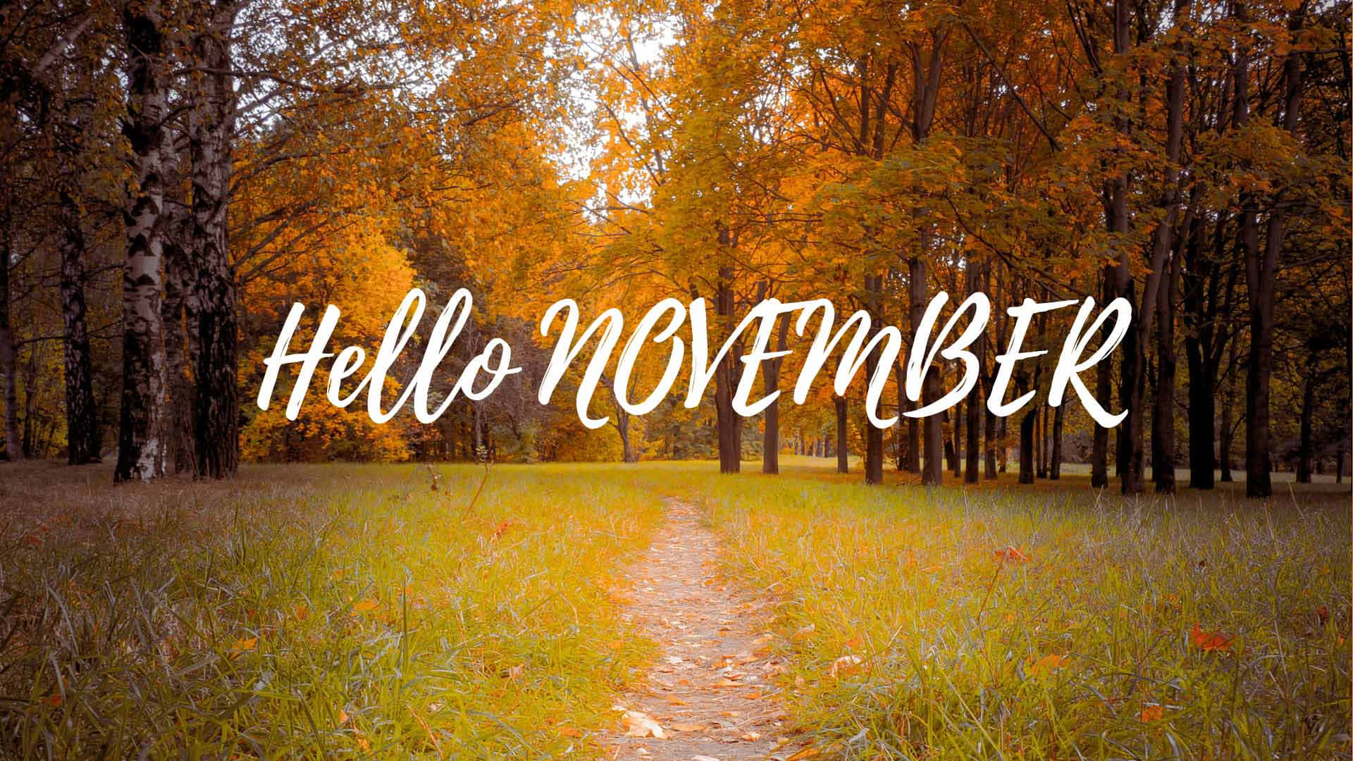 Welcome To November Wallpaper
