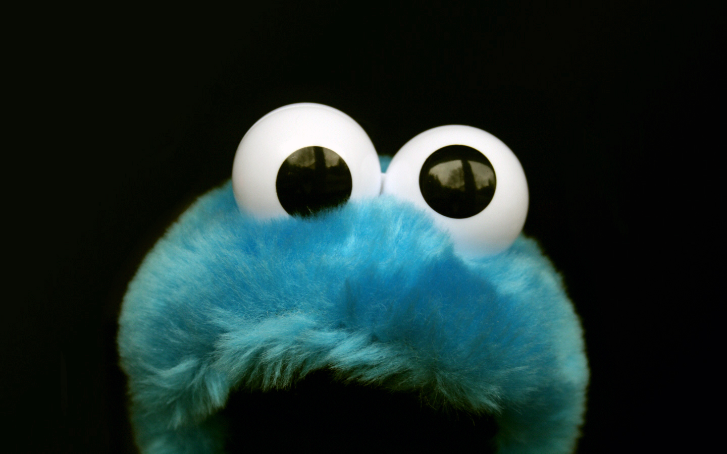 Cookie Monster Wallpaper Desktop