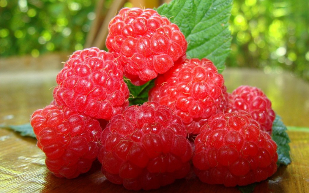 Raspberries Ripe Berry Twig Stock Photos Image HD