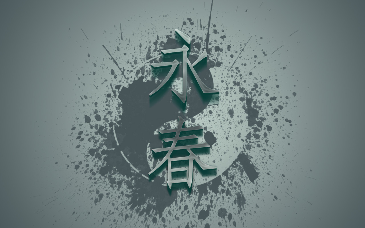 Image For Wing Chun Wallpaper HD