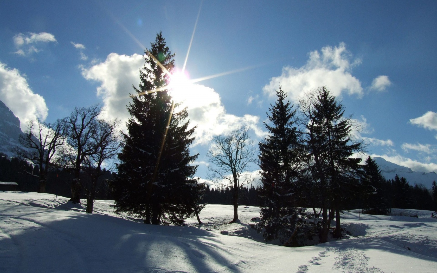 Winter Sun Wallpaper HD