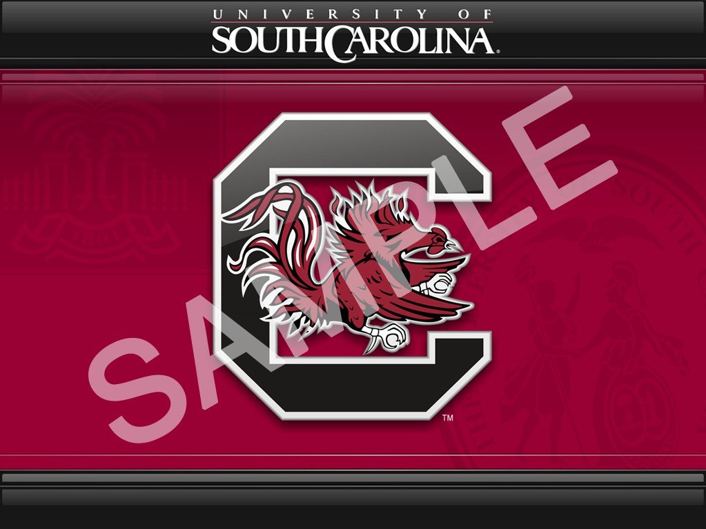 Mycolors University Of South Carolina Desktop Screenshot