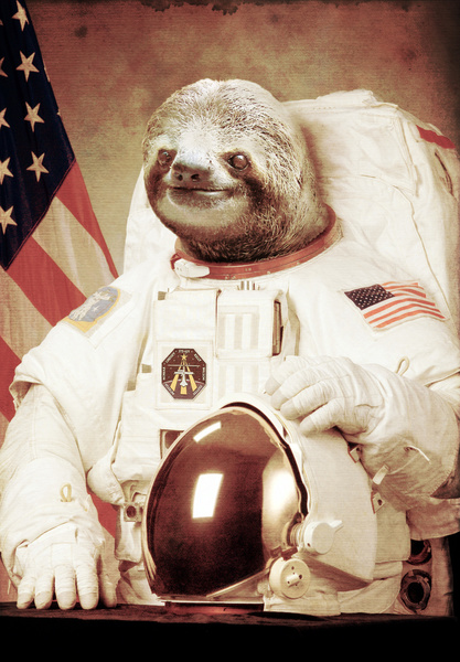 Sloth Astronaut Art Print by Bakus Society6