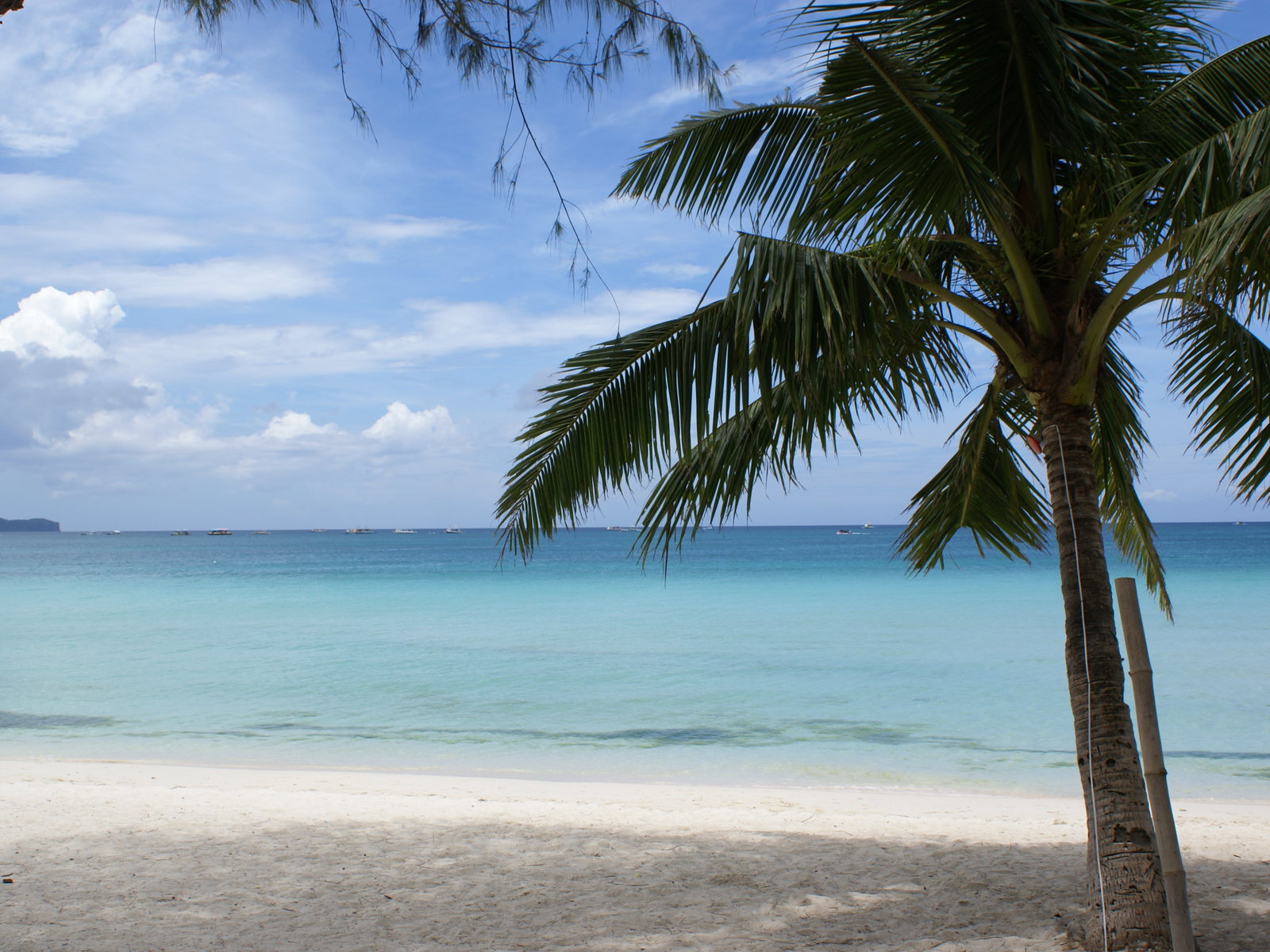 Beach Vacation Wallpaper