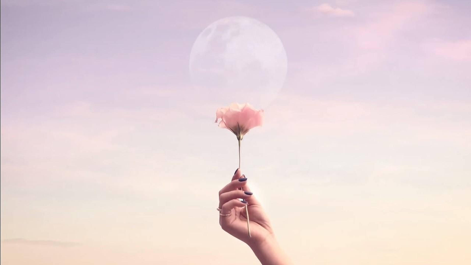 A hand holding a single pink flower against a backdrop of a large, pale moon in a pastel sky