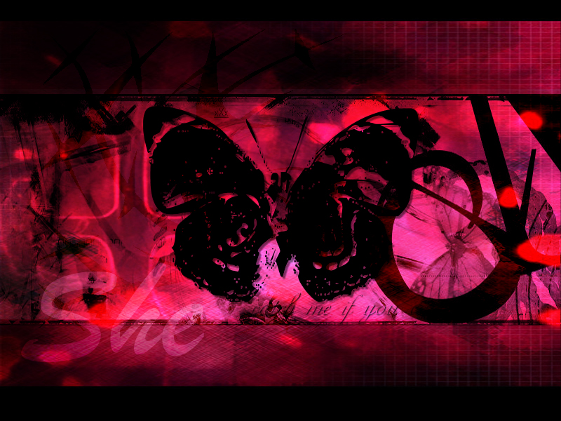 Black Butterfly By Noire Evanoire