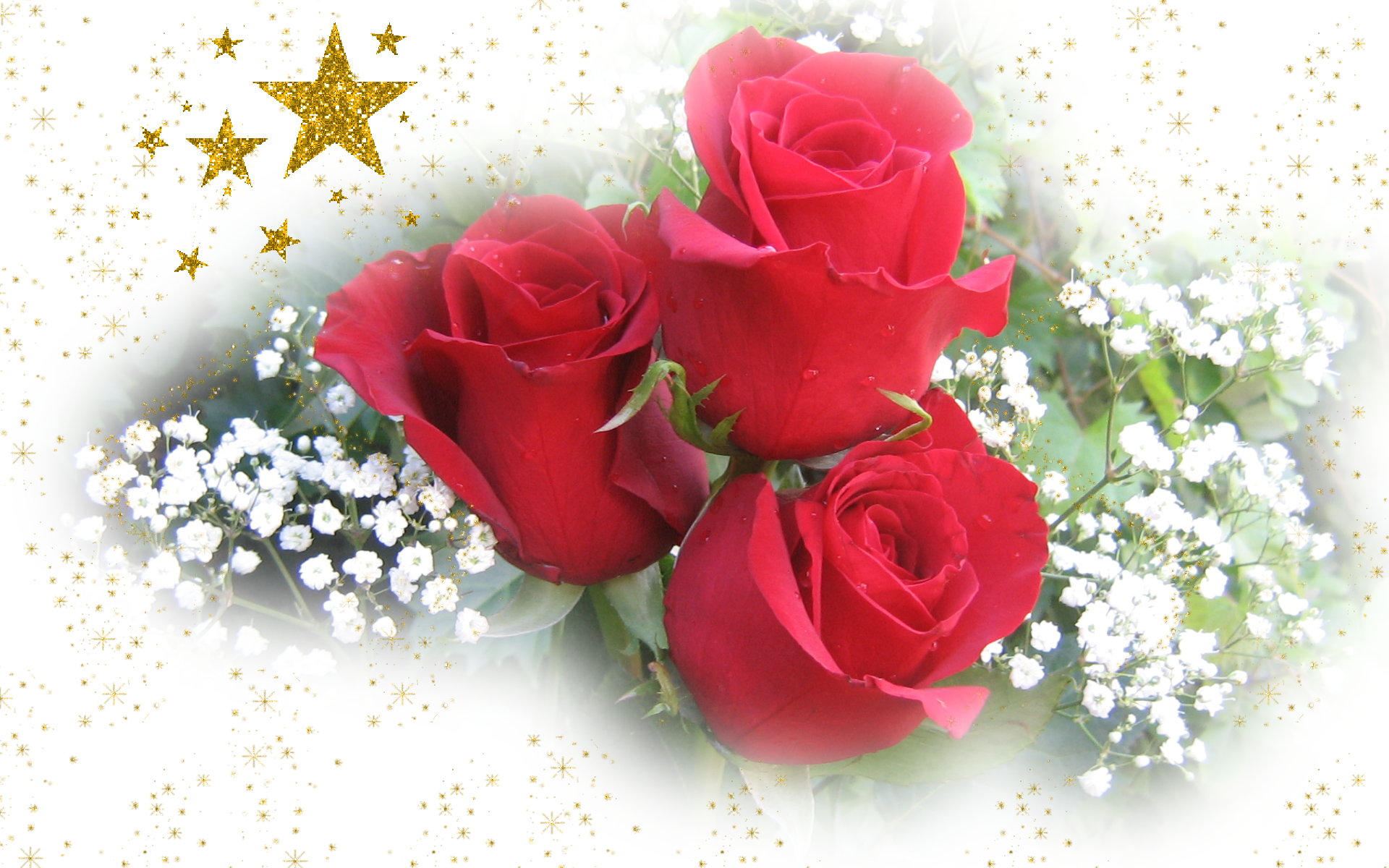 Merry Christmas wallpapers with beautiful roses and shiny stars