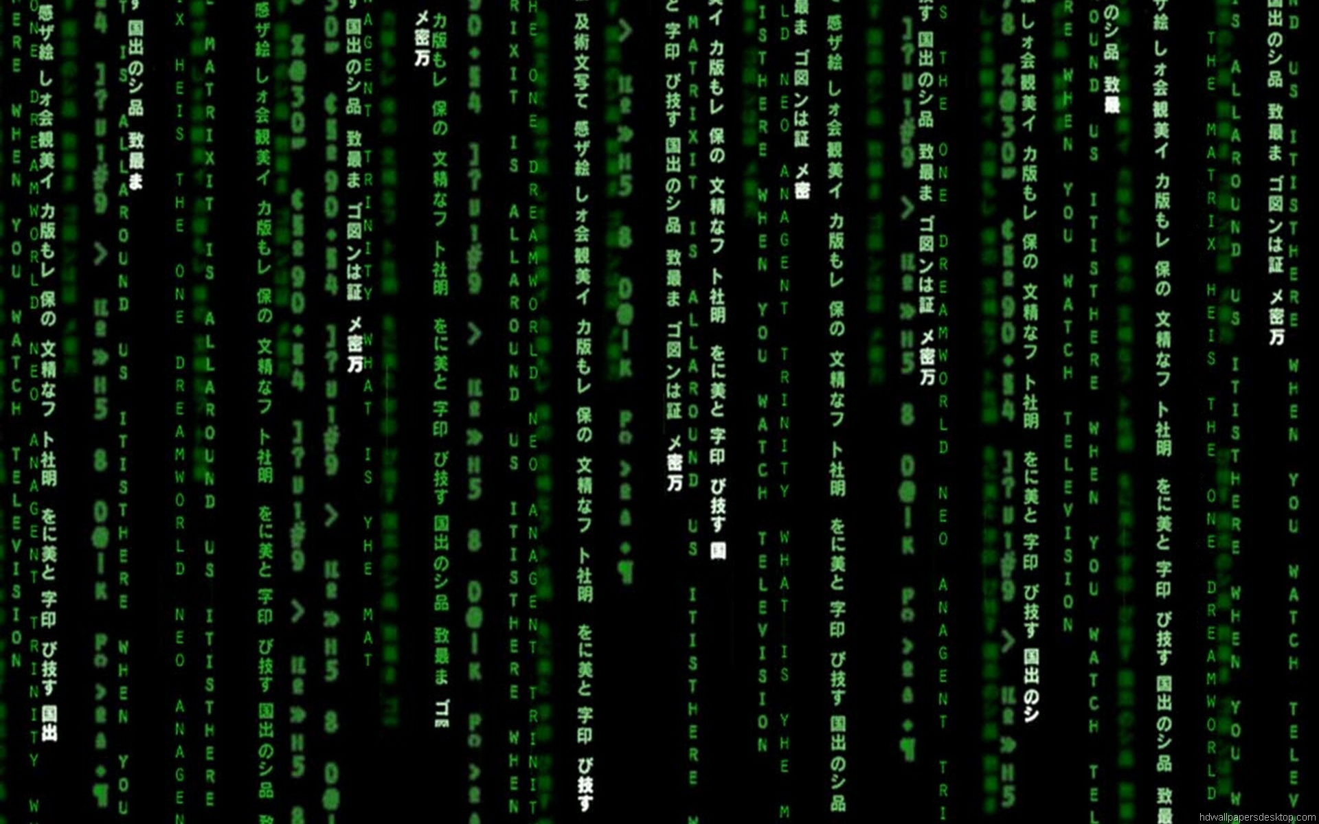 The Matrix Wallpaper Movie HD