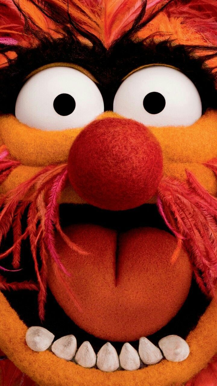 The Muppets Animal Go Wallpaper Muppet