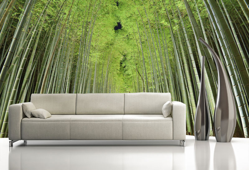 Bamboo Forest Couch Wallpaper And Wall Mural