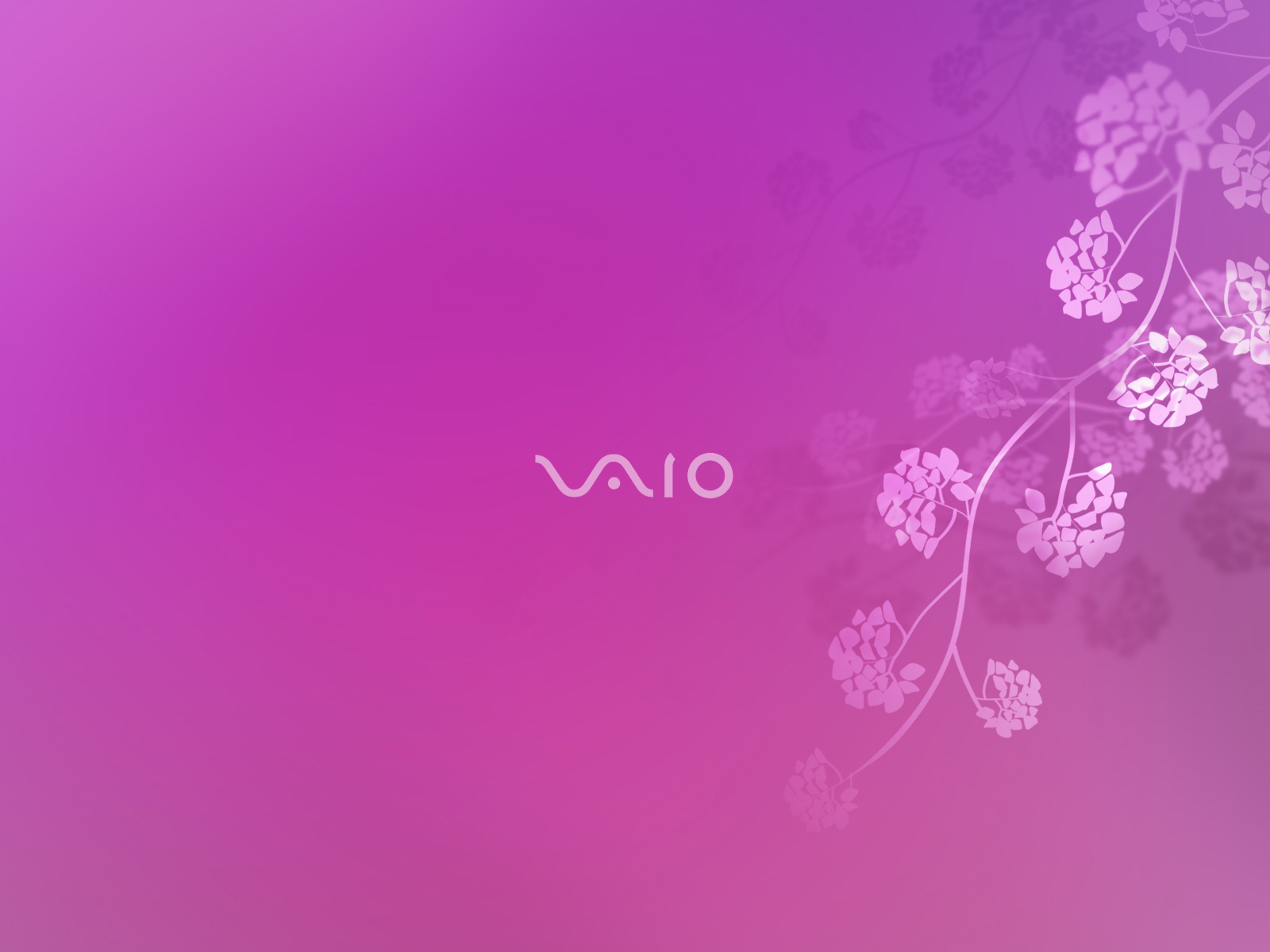 Alfa Img Showing Vaio Background Themes