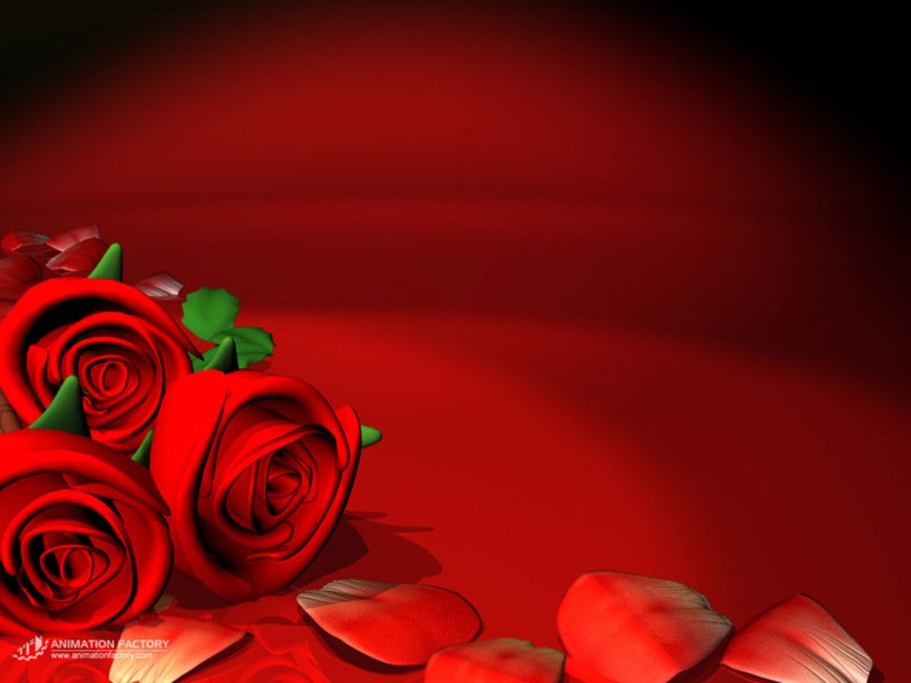 Red Roses Love Wallpapers And Backgrounds Seen On wwwdil ki dunyatk