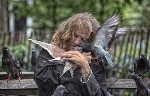 New York City Homeless Pigeons Birds Love Wallpaper