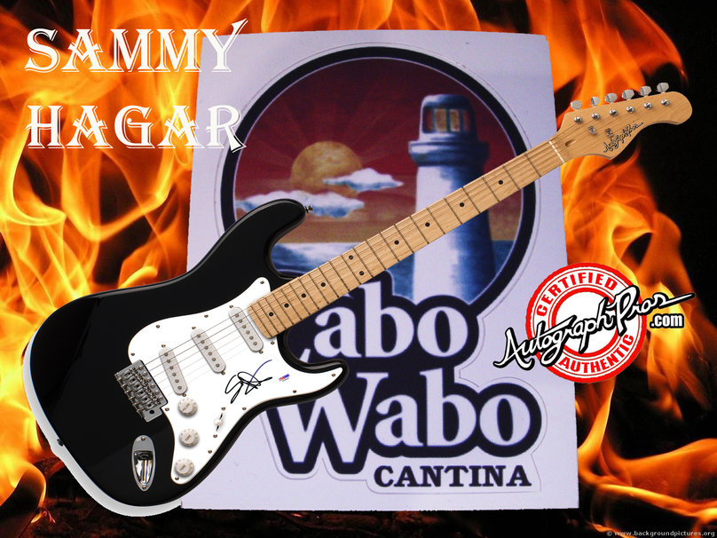 Sammy Hagar Autographi Paroi Libre De Guitare Wallpaper