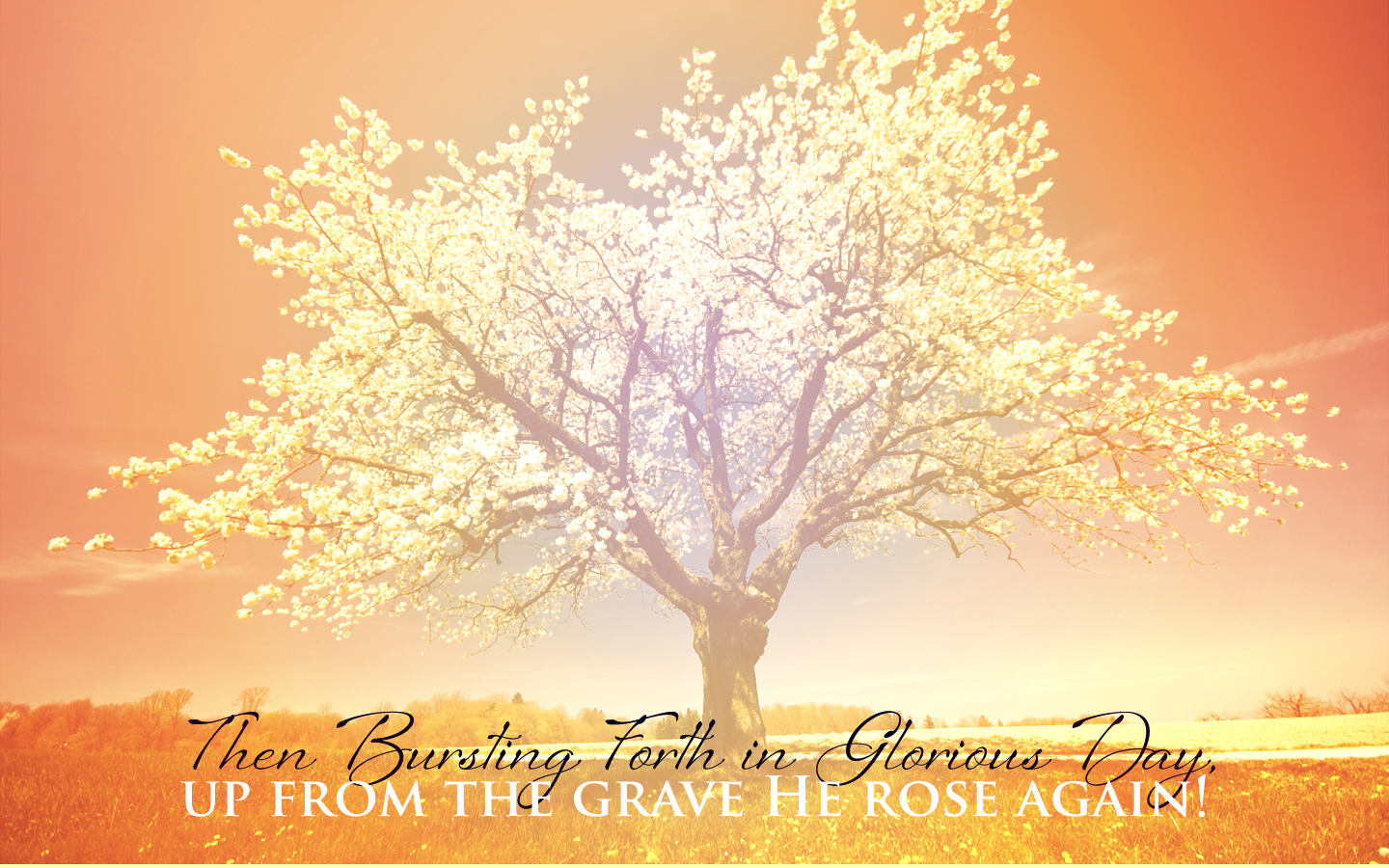 Nice Wallpaper For April And Easter Pastor Earl S