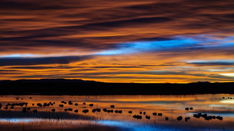 New Mexico Sunset Reflection HD Wallpaper Wallpaperfx