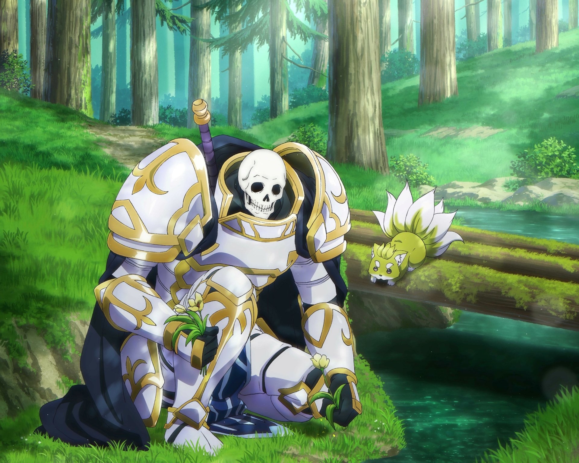 Ponta Skeleton Knight In Another World HD Wallpaper And Background