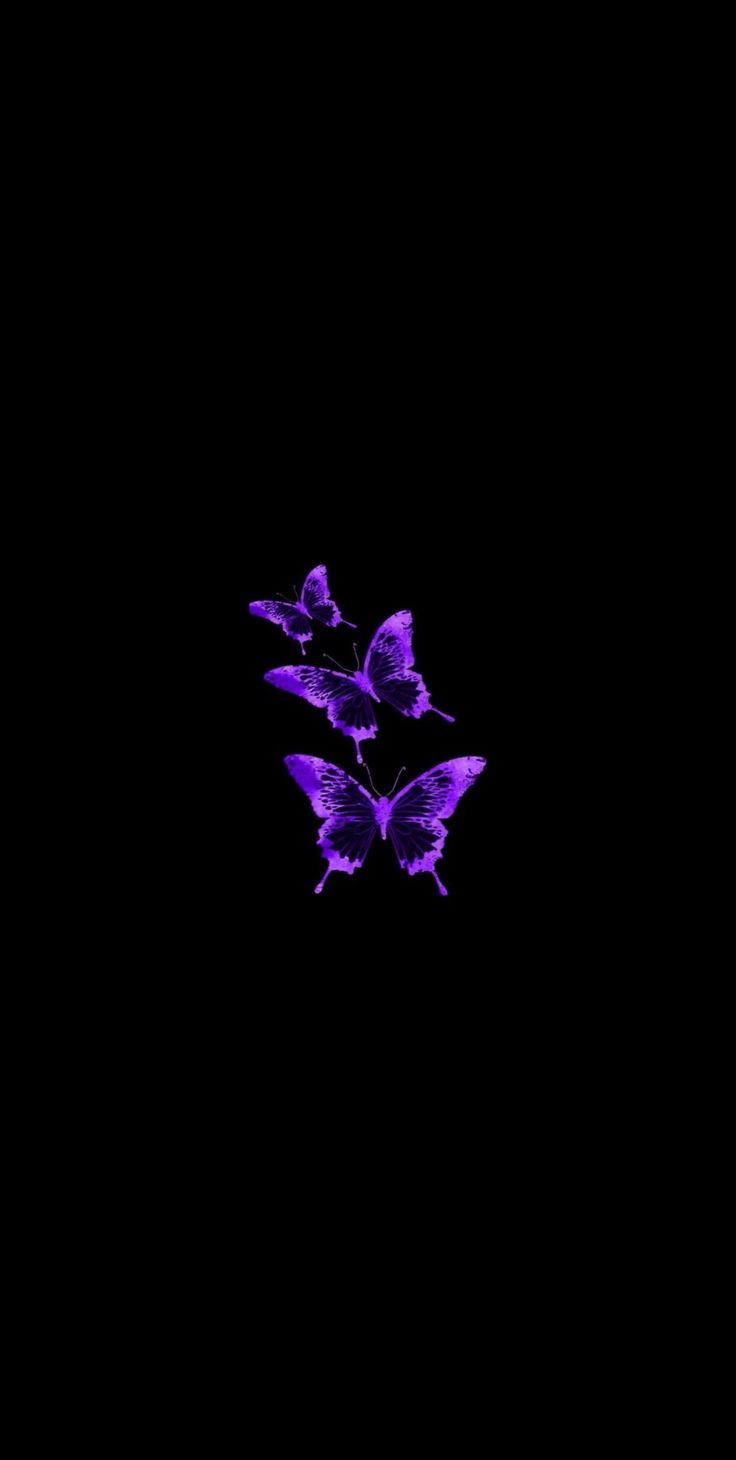 Wallpaper Black Purple Butterfly Dark