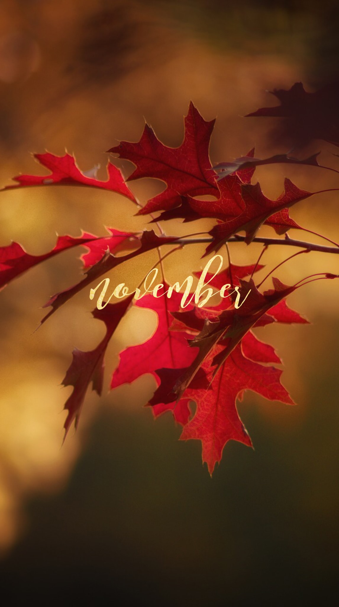 iPhone November Wallpaper