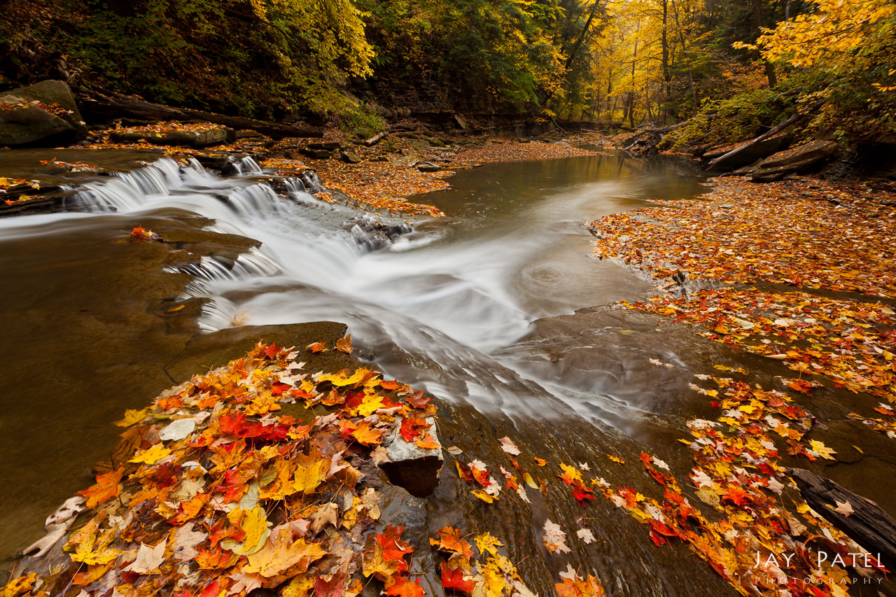 Featured Autumn Wanderings Photography By Varina