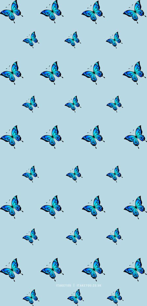 Butterfly Wallpaper Aesthetic Blue