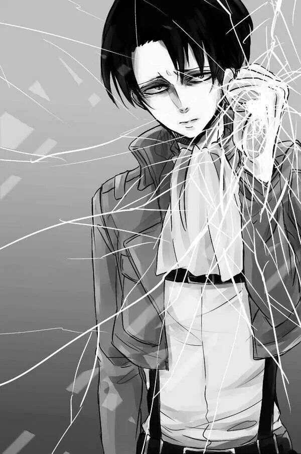 Haha I Made My Ipod Wallpaper This Levi S Trying To Get Out More