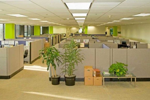 Cubicles Office Space HD Wallpaper Res