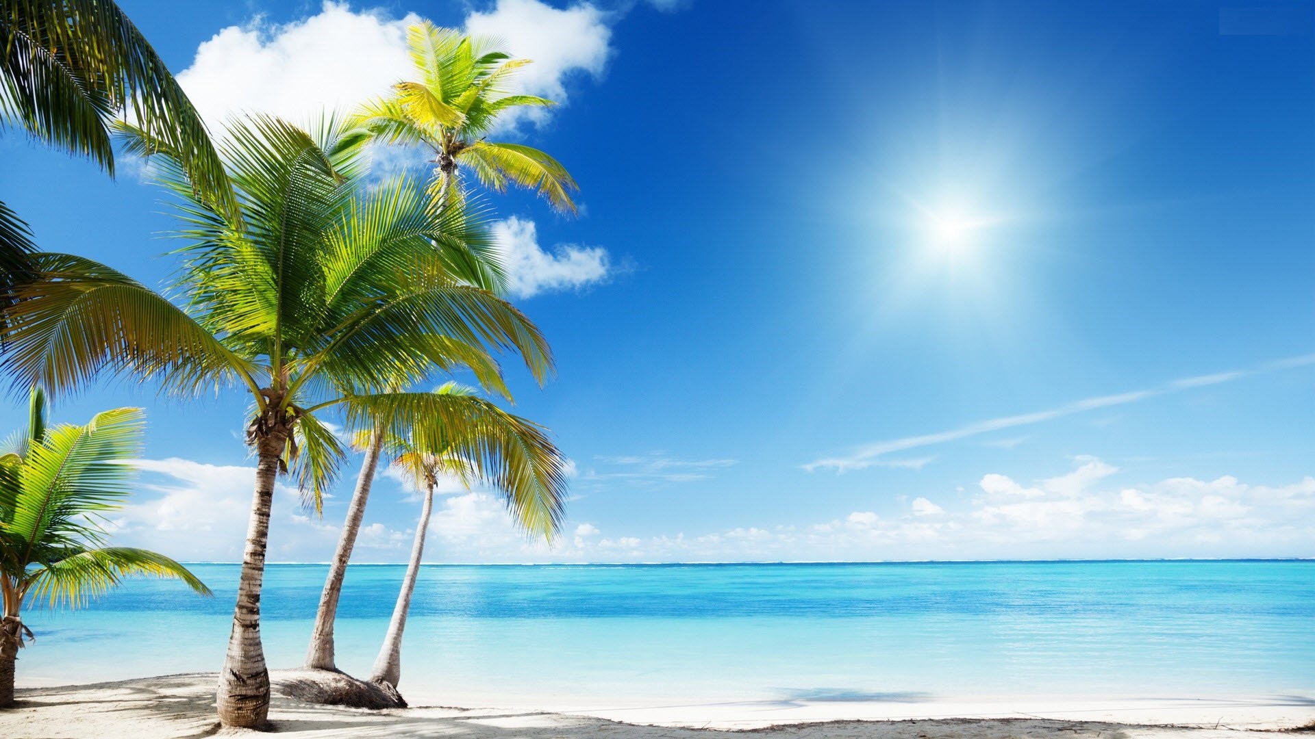 Sunny Tropical Beach Wallpaper Photos For Desktop