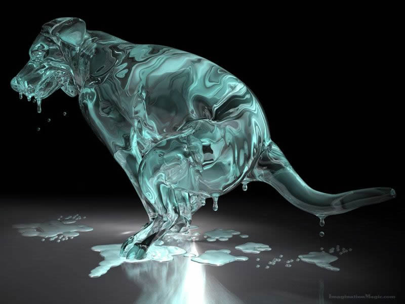 49+] 3D Wallpaper Animals - WallpaperSafari