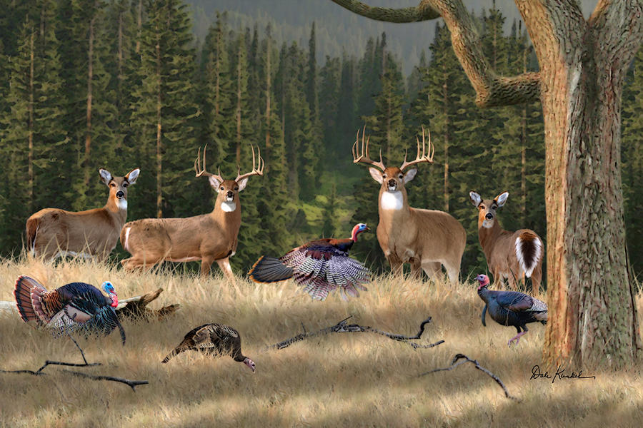 Deer Art Whitetail Kings Fine Print