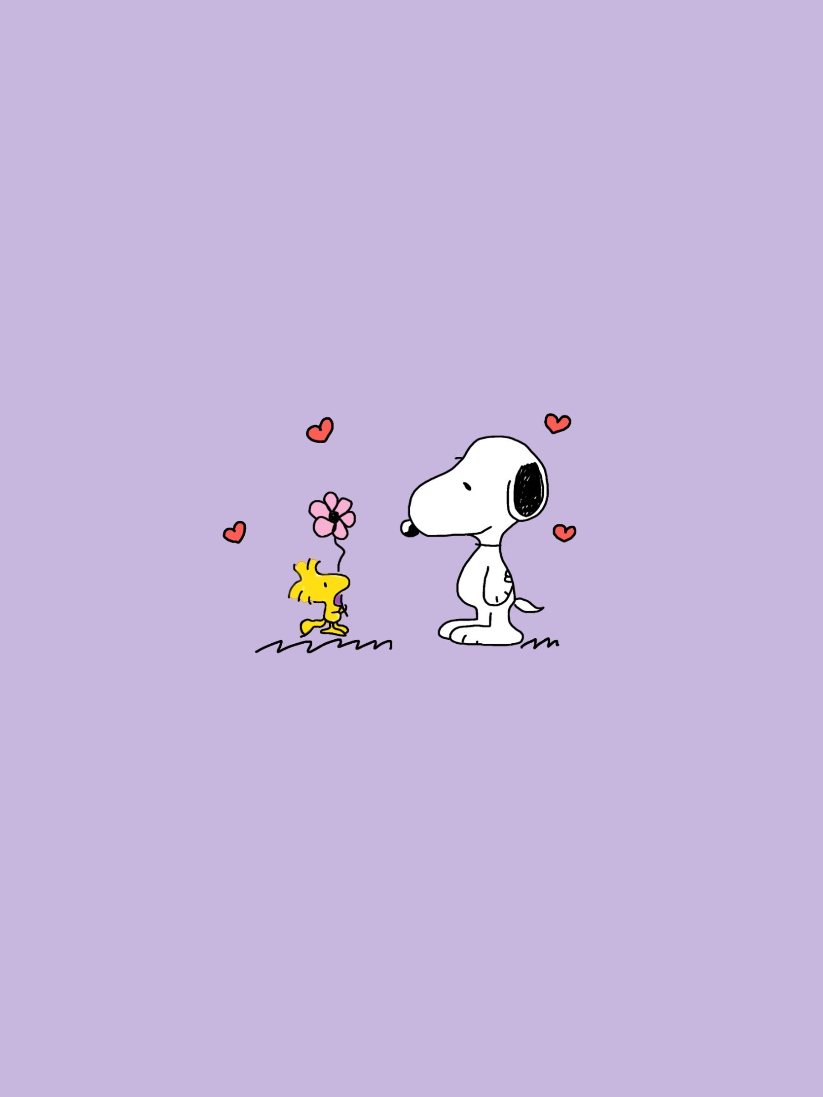 Wallpaper