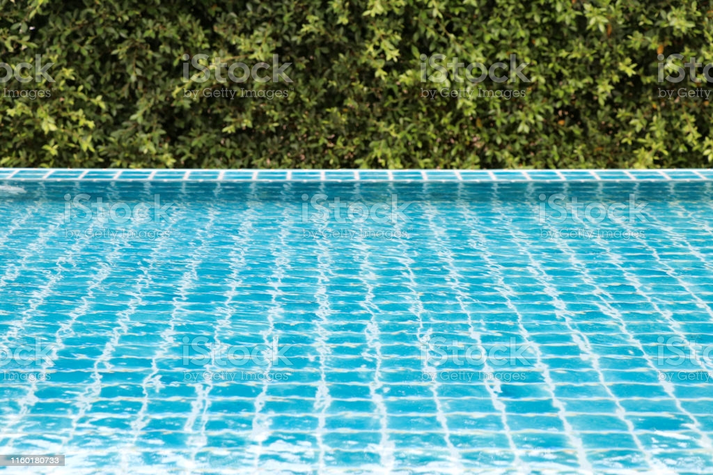Swimming Pool And Green Trees As Background Stock Photo